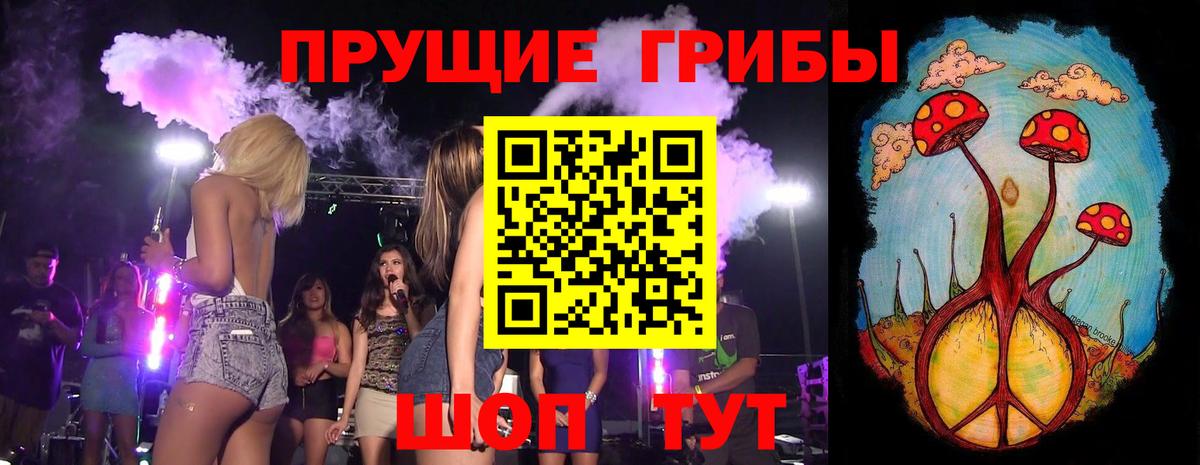 Псилоцибиновые грибы GOLDEN TEACHER Биробиджан